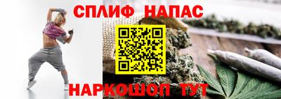 ешки Моздок