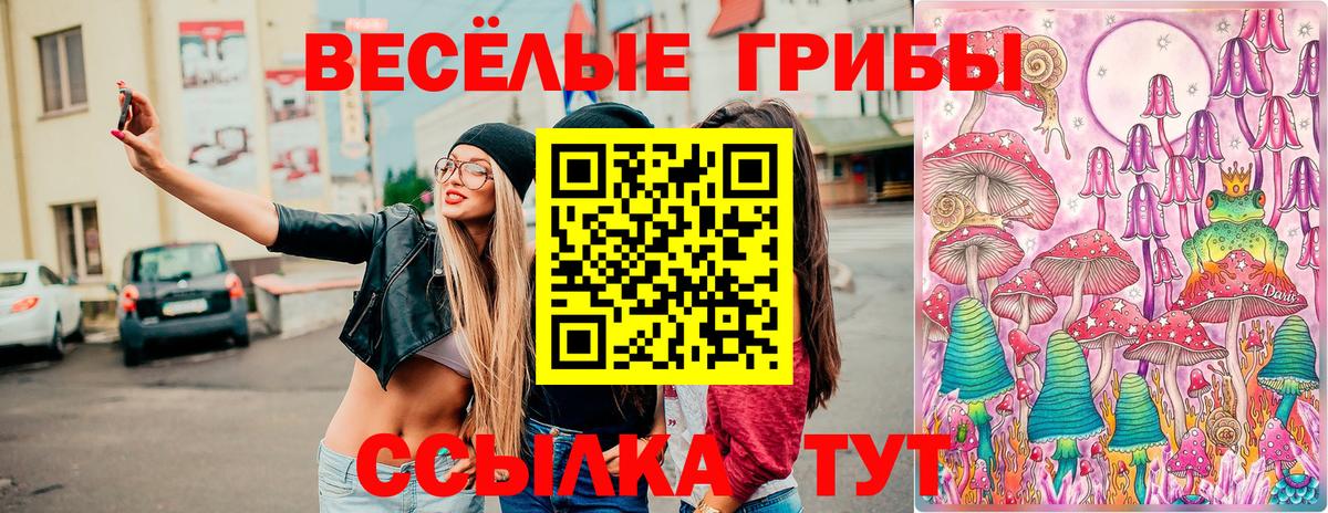 Псилоцибиновые грибы прущие грибы Гулькевичи